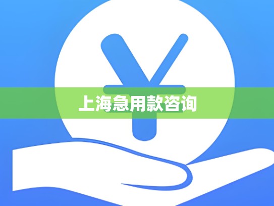 上海急用款咨询