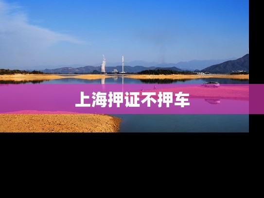 上海押证不押车