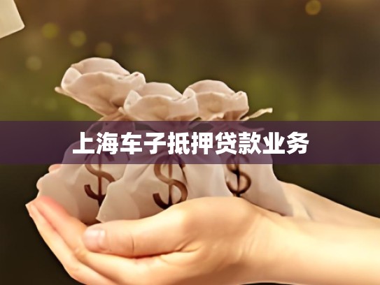 上海车子抵押贷款业务