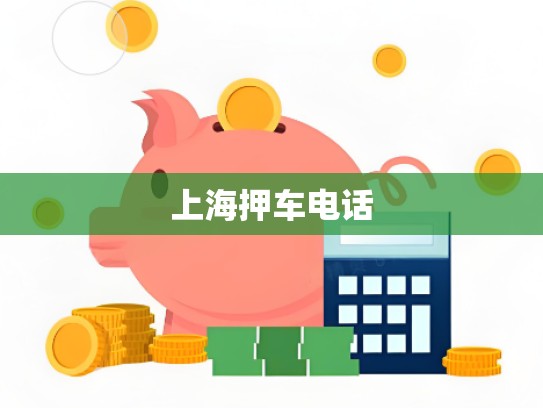 上海押车电话