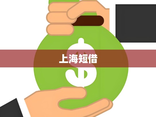 上海短借