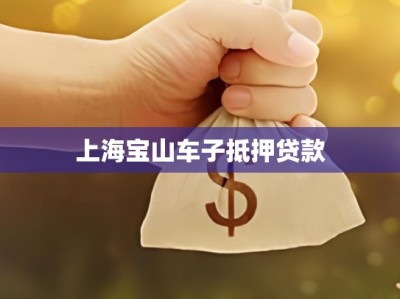 上海宝山车子抵押贷款