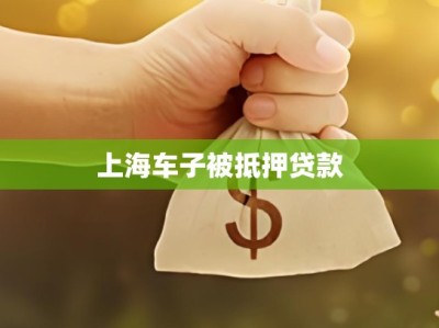 上海车子被抵押贷款