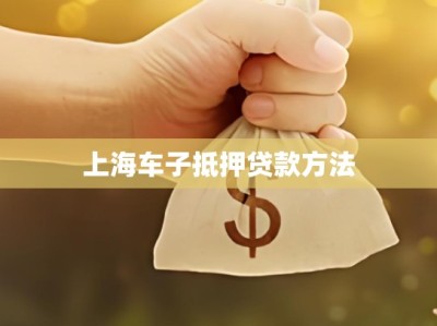 上海车子抵押贷款方法